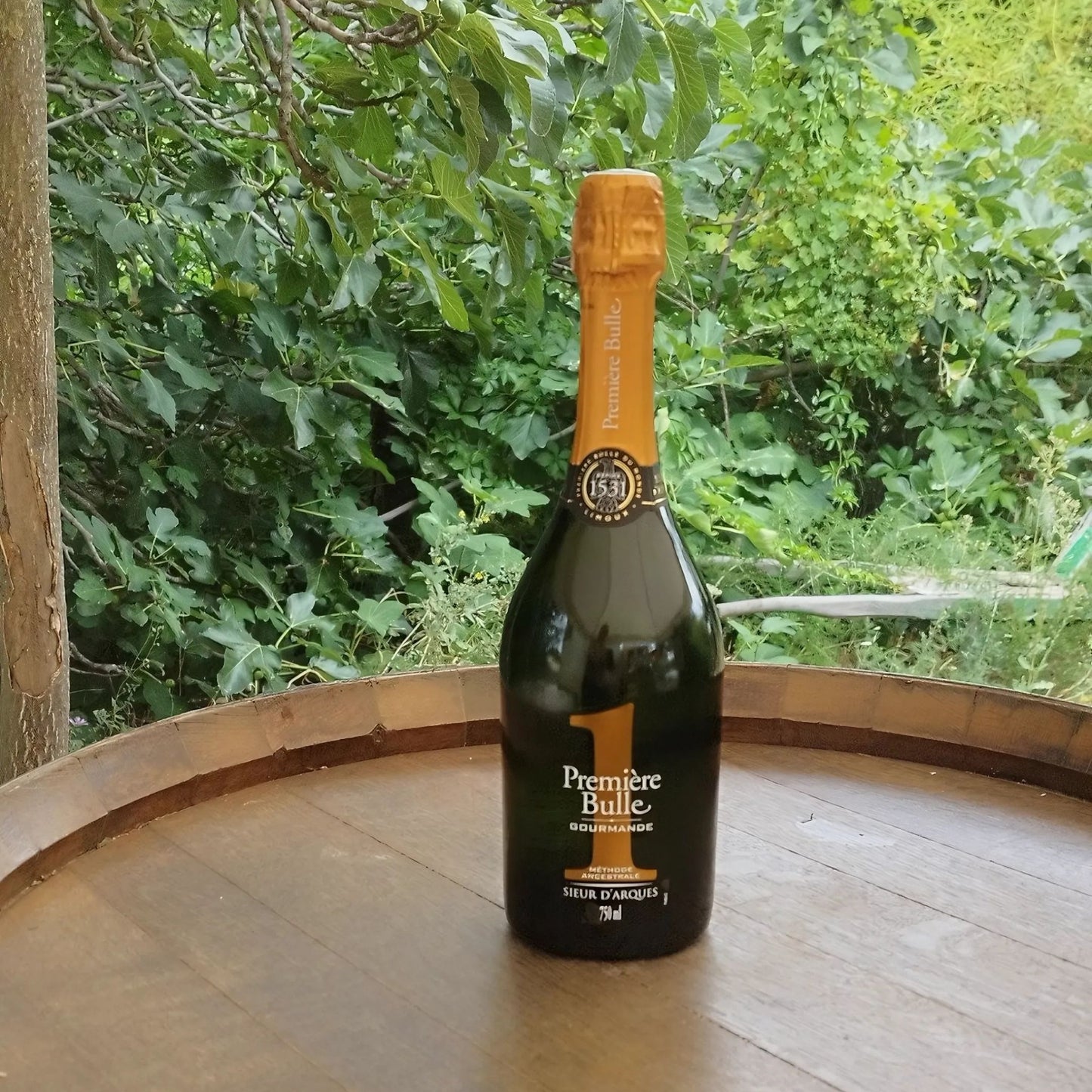 Première Bulle -Méthode Ancestrale- Limoux -