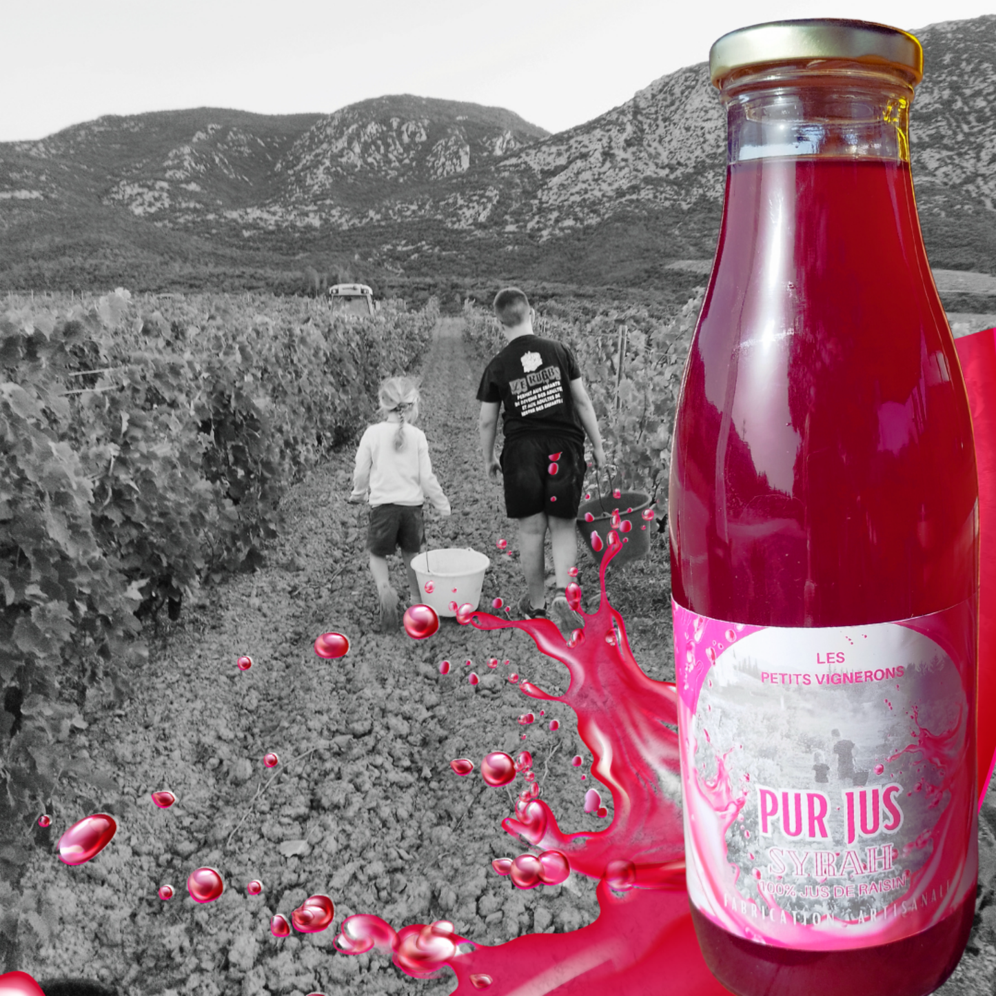 Jus de raisin -Syrah