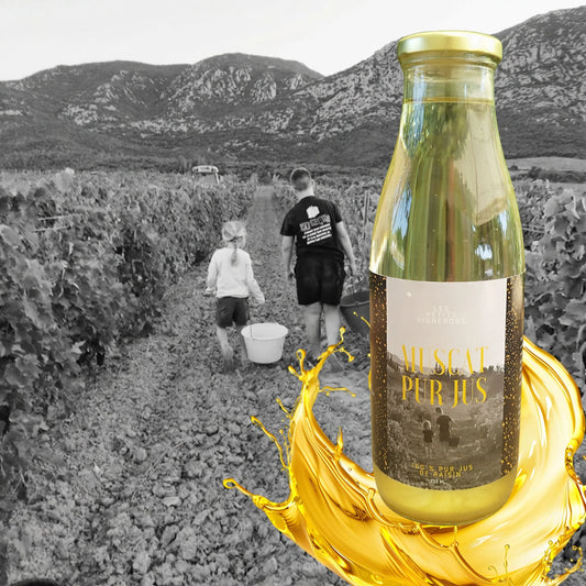 Jus de raisin - direct producteur