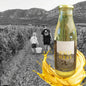 Jus de raisin - direct producteur